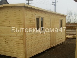 image (11)
