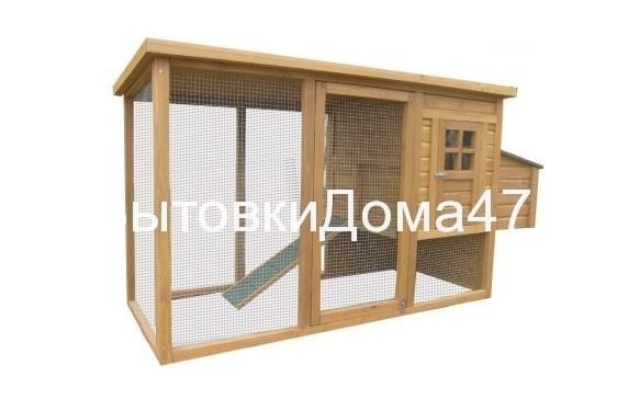 курятник