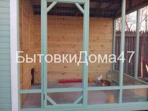 Выгул курятника