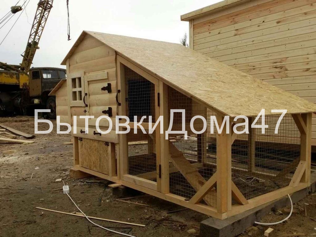 маленький курятник