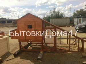 маленький курятник