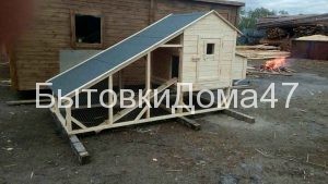 курятник